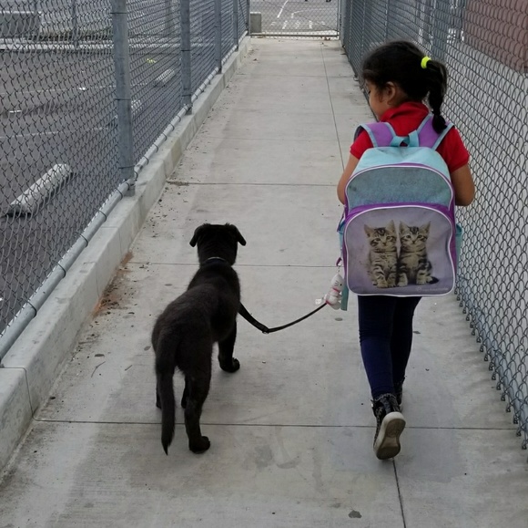 Meet your Posher, Alysha - Picture 4 of 6